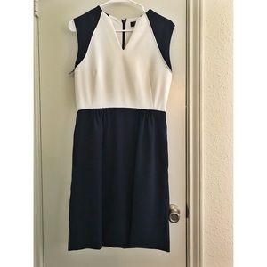 Tahari Business Dress